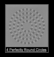 brain circles.png