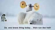 bird brave.png
