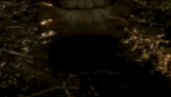 Super Centipede (Arthropleura).gif