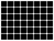 Try to count the black dots.png