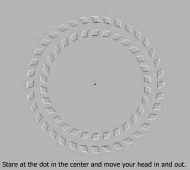 moving not.png