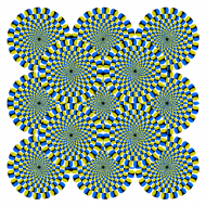 rotation.png