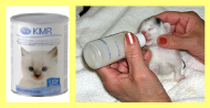 kmr-powder-28-oz.png