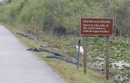 sign-in-florida.jpg