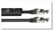 10000-ethernet-cable.png