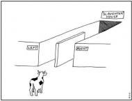 cow-slaughterhouse.jpg