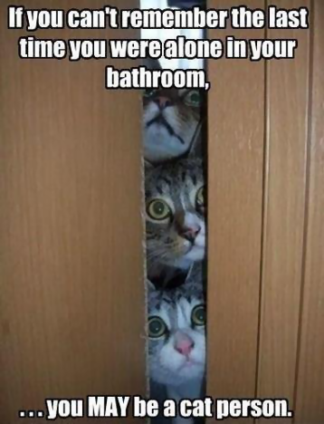 Cat Person bathroom.png