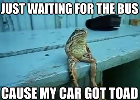 car Got Toad.png