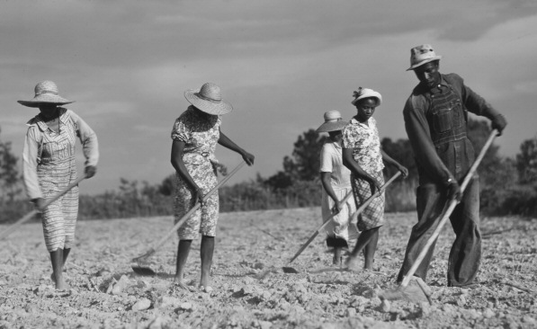 sharecroppers-small.jpg