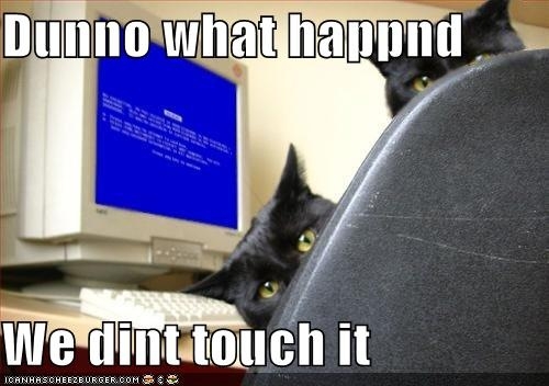 catscomputerbluescreendeath.jpg