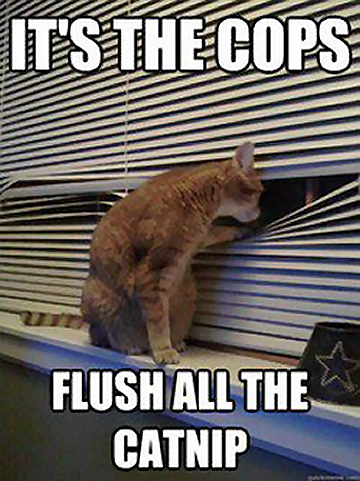 cat Flush The Capnip.png