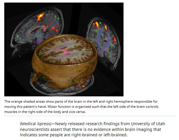 Researchers debunk myth of 'right-brain' and 'left-brain' personality traits.jpg