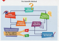 Scientific Method - diagram 02.jpg