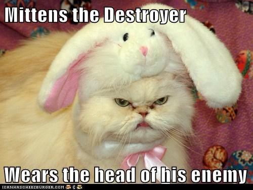 funny-cat-pictures-lolcats-mittens-the-destroyer.jpg