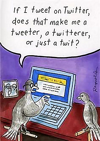 bird twitter twit.png