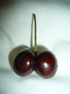 fruity-cherries-01.jpg