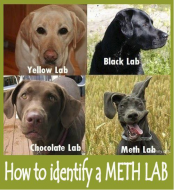 meth_lab.png