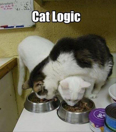 Cat Logic.png