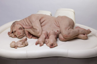 Patricia Piccinini, 'The Young Family.' 2002-2003. Mixed media.jpg