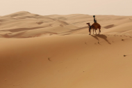 Google Maps uses camels for Street View in the desert - Copy - Copy.jpg