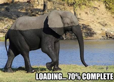 elephant loading.jpg