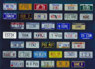 29 Clever License Plates That Slipped Past The DMV.jpg