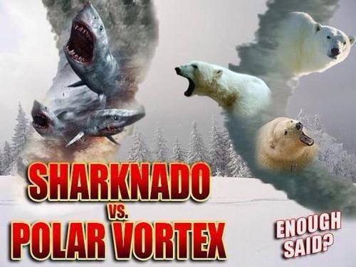 sharknadovspolarvortex.jpg