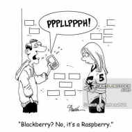 Raspberry phone.jpg