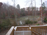 Scotts Pond fr deck.jpg