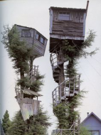 Treehouses.jpg