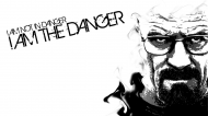 I am not in danger - I am the danger.jpg