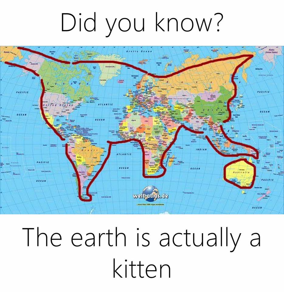 WorldisaKitten.jpg