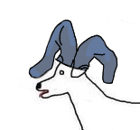 dogpants.png