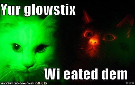glow-in-the-dark-cats.jpg