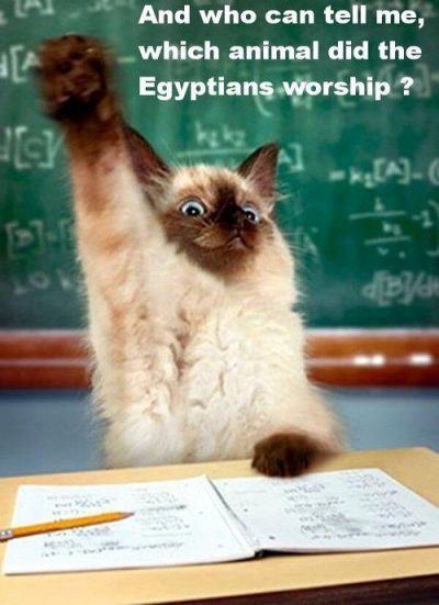 cat Egyptian Cat Worship.png