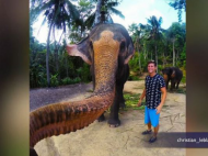 Elephant grabs tourist's GoPro and takes world's first 'elfie'.jpg