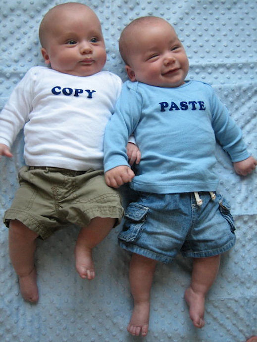 How twins are made - copy paste.jpg