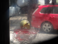 05-09-23 Feeding Oriole .jpg