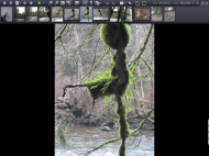 exifPro image viewer-medium.png