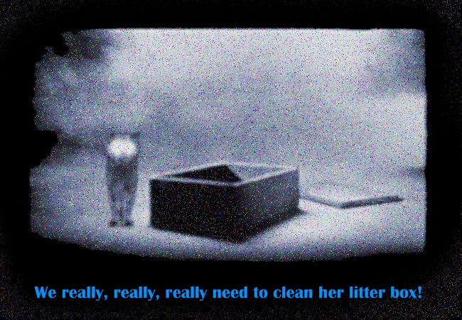 Litterbox.jpg