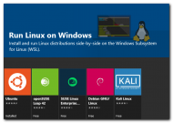 Microsoft Store - Linux Options.png