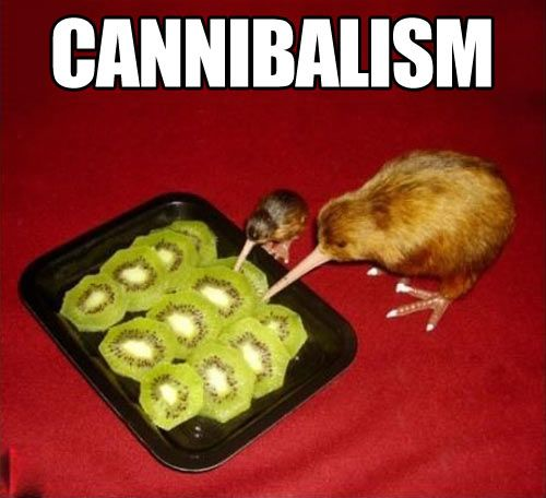 cannibal-kiwi.png