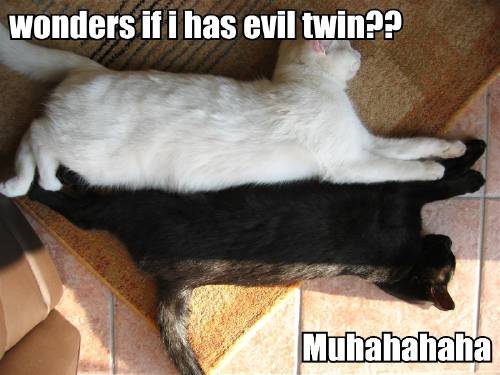 wonders-if-i-has-evil-twin-muhahahaha.jpg