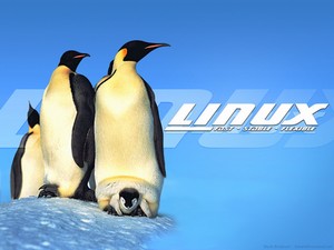 Linux-frf_guide009c.jpg