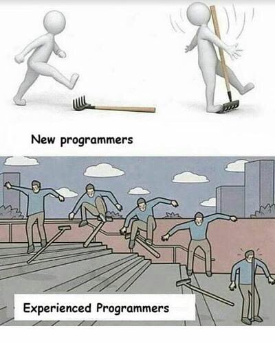 Programmers Rake.jpg