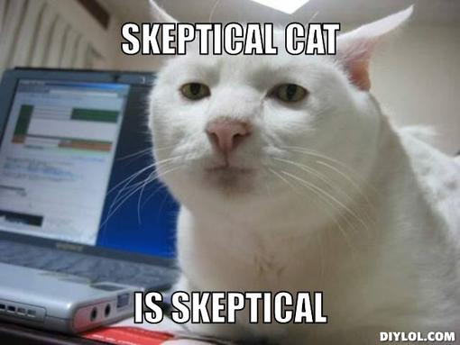 skepcat.jpg