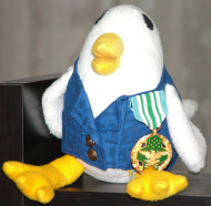 vest-medal-proud.jpg