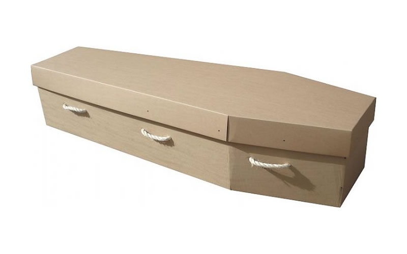 Woodgrain Cardboard Coffin.jpg