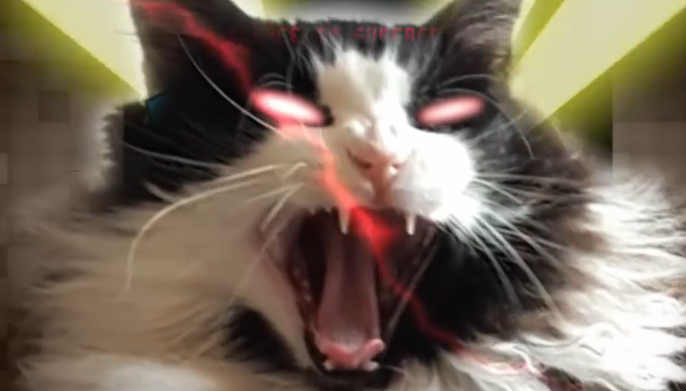 Evil Cat 1.png