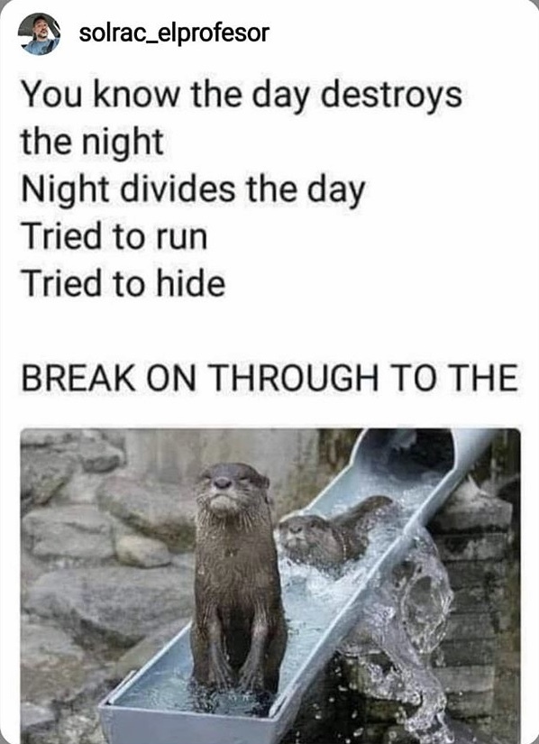 otter_side.jpeg